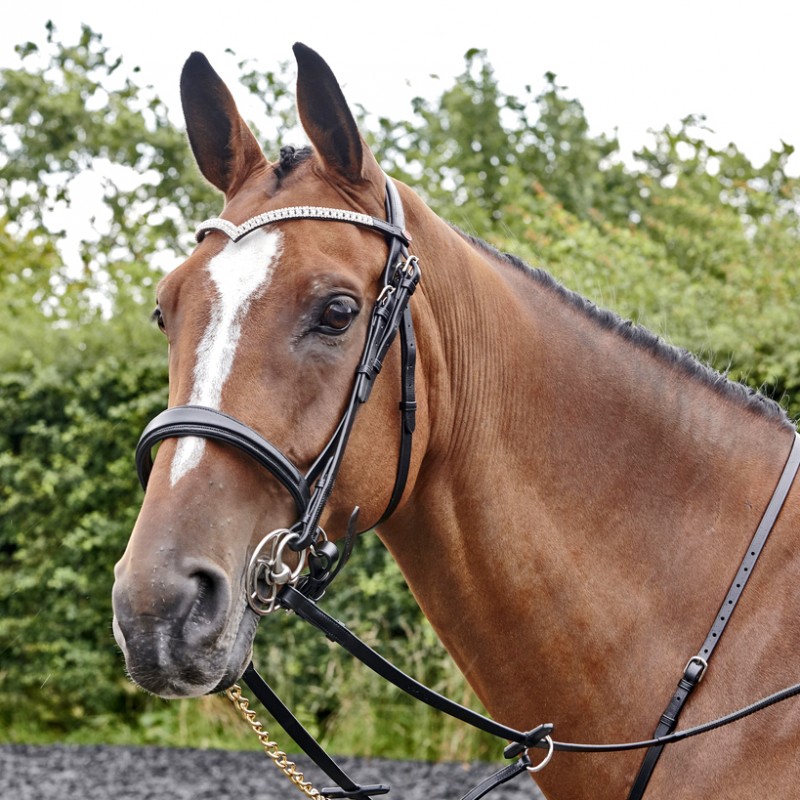 BR072 - Lynton Snaffle Bridle with 2 browbands